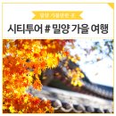 ㈜뉴금강산관광여행사 | 시티투어와 함께 떠나는 #밀양 가을 여행명소