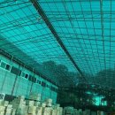 신광의집 이미지