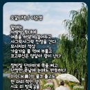 오갈미 Daum카페