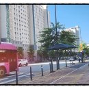 보람동_호려울8단지 정문 네이버블로그