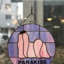 파라키스 이미지