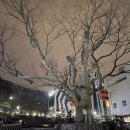 서해어린이공원 이미지