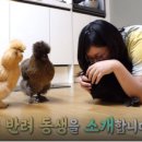 새아리농장 이미지