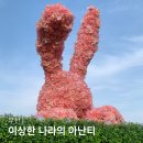 앨리스골프클럽 | 부산 기장 빌라쥬드아난티 원더랜드 이상한나라의아난티 앨리스 포토존 가볼만한 곳
