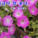 삼학도 이미지