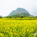 목마노래연습장 이미지