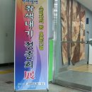참색내기연구회 이미지