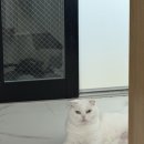 김대감 숯불구이 이미지