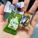 (주)파파콜렉션 | 1-5.