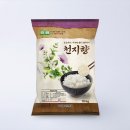 천지향 이미지