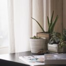 미니정원 이미지