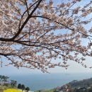 씨유(CU)남해독일마을점 | [하이디하임] 남해 독일마을 숙소 완전추천 / 하이디하임 303호 / 조식 미쳤다;;