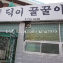 덕이꿀꿀이 이미지