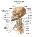 경추협착증 이란?? 이미지