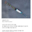 레인저피싱 이미지