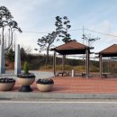 임실덕천리가침박달군락 이미지