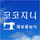 코코지니 이미지