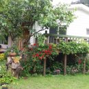 버들치민박 이미지