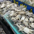 서화수산 이미지