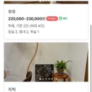 스테이우연 이미지