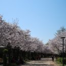 서울숲 생태숲 화장실 이미지