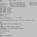 박대정 이미지