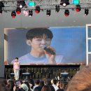 ICHEON38 | 이천 도자기 축제 2024 체험존 푸드존 축하공연 후기
