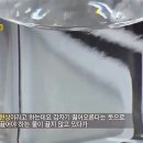 bumping 이미지