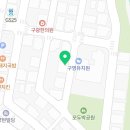 구영 고양이 무마취 미용 이미지