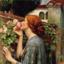 장미하우스 이미지