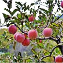 얼음골로 이미지