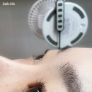 아린 아이래쉬