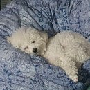 복자통신 - 고성군 거탄진로 127 | 복자통신