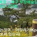 어우러기 이미지