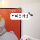 꼬망이펫샵 이미지