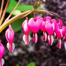 상면농장 이미지