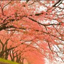 참좋은인연 이미지