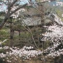 김상직 | 장성 죽국헌(竹菊軒)