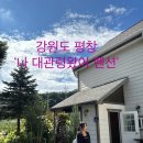 나 대관령왔어 이미지