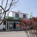 &lt;신안군 맛집&gt; &#39;억순이의 기찬밥상&#39;에서 낙지비빔밥 먹고, 전남 신안군 &#39;소금항카페&#39;