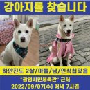 광명시민체육관 운동장 이미지