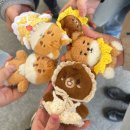 청마식당 | [마데일기] 250330 DAY6 데이식스 포에버영 대구 막콘 후기