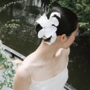 포지 | [서울/압구정] 포지베일 쇼룸 방문 후기, 공주놀이 짜릿해👸🏻