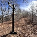 들국화(만수)마을 이미지