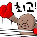 UFC 국제 GYM 이미지