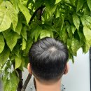 이환실루엣