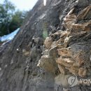 미포산단진입도로 이미지