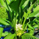 파크골프민박 이미지