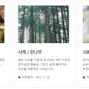 영남중기 | 영남의 중심이자 내륙의 심장, 대구(大邱) 이름의 유래와 변천사