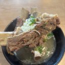 1485 | 남양주맛집 일호갈비탕 남양주 갈비탕 추천 내돈내산 포장 후기 🍖